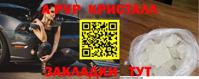 крисы Донской