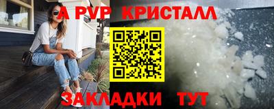 крисы Донской