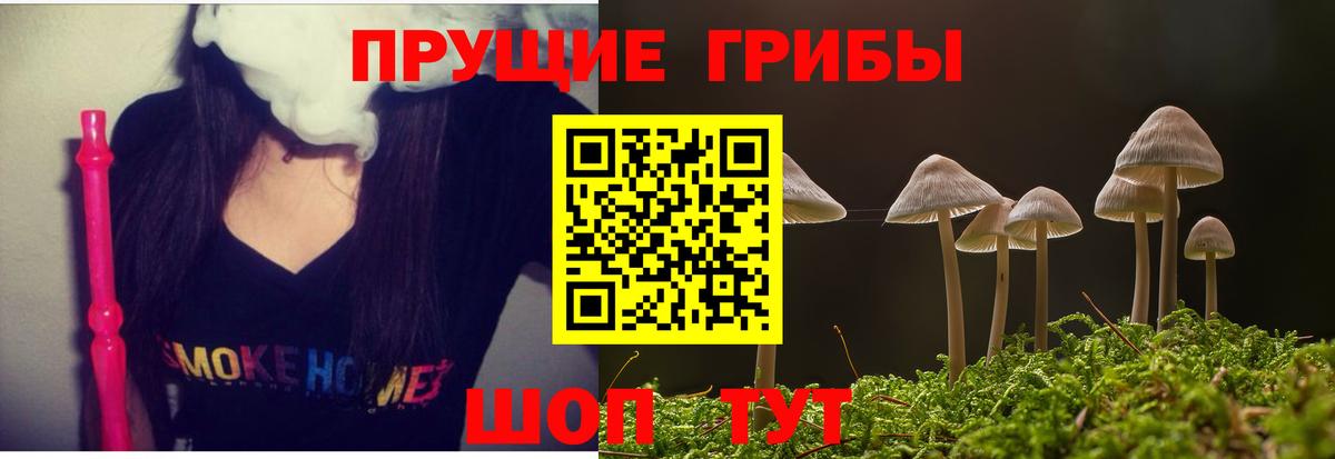 Галлюциногенные грибы Cubensis Северск